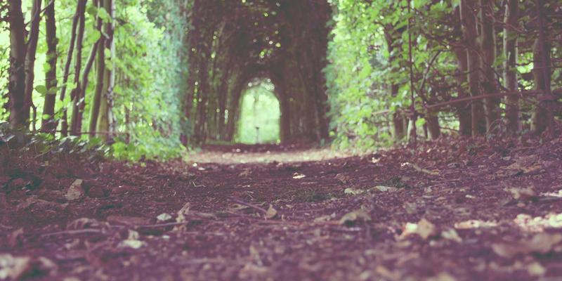 从北欧风生活到身心平衡：后生元如何成为免疫与情绪健康的隐藏钥匙