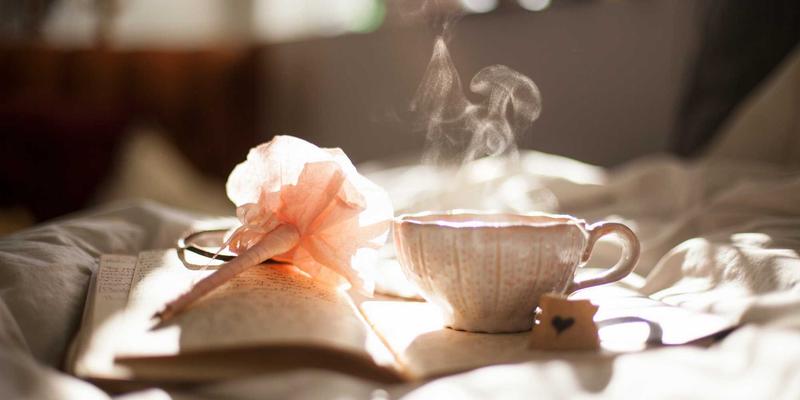 从失衡到重生:一位创业者的肠道菌群修复之路,如何让他重获身心免疫力