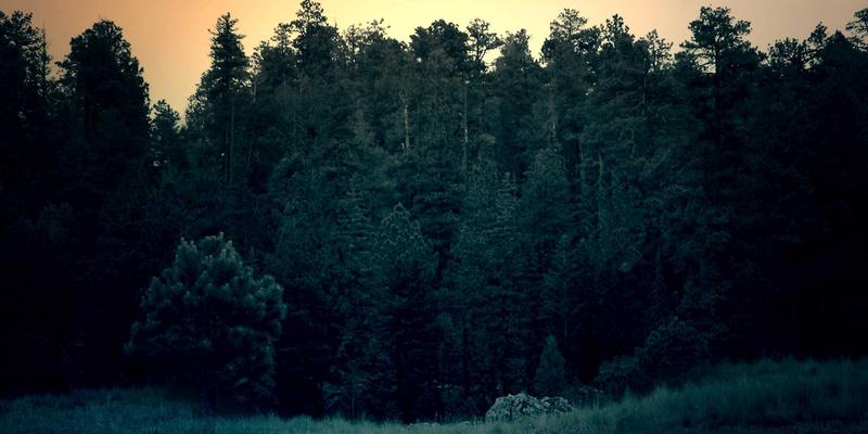 北欧风抗衰老启示录:用简约哲学与自然律动,重写你的生命时钟